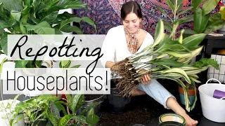 Houseplant Haul & Repotting! Repotting Indoor Plants & Pottery Haul!