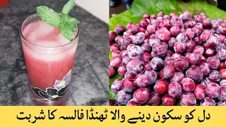 Falsa ka sharbat by food Fusion family recipes