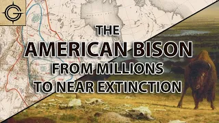 The American Bison: From Millions to Near Extinction