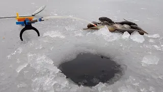 Первый лёд 2022-2023! ЗДЕСЬ рыбы БОЛЬШЕ,чем ВОДЫ! Ловля РОТАНА на мормышку! НЕ УСПЕВАЮ ВЫТАСКИВАТЬ!