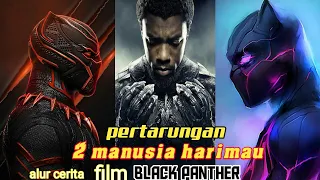 pertarungan dua manusia harimau bersaudara, alur film black panther