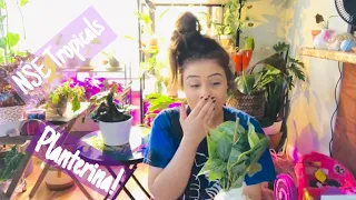 Planterina & NSE Tropicals!! | Plant Unboxing !!