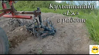 Ротационный культиватор "Еж" в работе