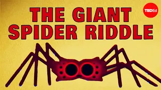 Can you solve the giant spider riddle? - Dan Finkel