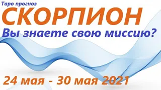 СКОРПИОН♏ 24 мая - 30 мая 2021🌷 таро гороскоп/таро прогноз /любовь, карьера, финансы, здоровье👍