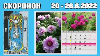 Скорпион - Таро прогноз на неделю 20 - 26 июня 2022 года 💫 😊 Расклад Таро и Ленорман