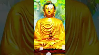 Цитаты Будды самого миролюбивого человека