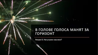 Почему работает геймдизайн? Базовая психология и нейрофизиология