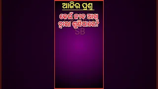 ODIA GK || INDIA GK || ODIA DHAGADHAMALI || GK QUESTION &ANSWER