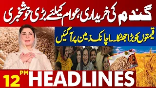 Good News For People !! Purchase of wheat | Price Drop | Lahore News Headlines 12 PM | 28 April 2024