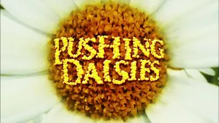 Pushing Daisies Intro