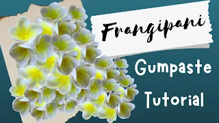 FRANGIPANI GUMPASTE Tutorial