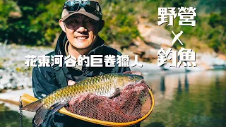 New experience of fishing and camping! Giant Channa maculata in the Hualien river valley | 4K HDR