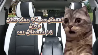 Cat Memes The las Vagas Road Trip 1-6 #catmemes #relatable