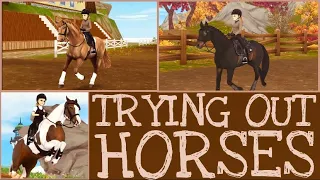 Trying Horses: Horse Shopping for my Next Eventer II Star Stable RRP