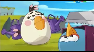 Angry Birds Энгри Бёрдс — Свинбо, Птичий грипп, Свинкулы