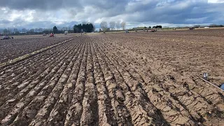 Thorne hat field ploughing match