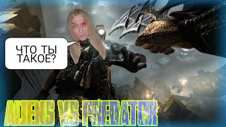 Компания Десантника на Высокой Сложности | Чужой Против Хищника | Aliens vs. Predator 2