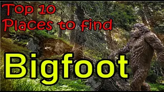 Top 10 best places to find Bigfoot. It's NOT just Washington and Oregon.