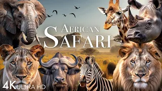 Ultimate Wild Animals Collection in  8k ULTRA HD.......