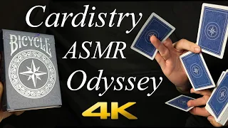 Cardistry ASMR Bicycle Odyssey 4K