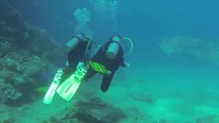 Black Rock - Best Shore Dives Maui, Hawaii
