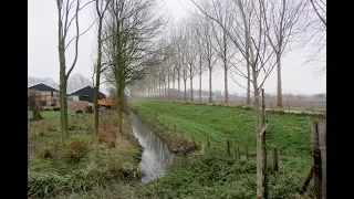 Weerbericht Donderdagochtend: Regen en wind