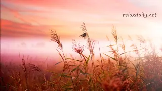 tasty melody Background Music Instrumentals   relaxdaily   B Sides N°1 720p