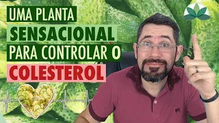 Uma PLANTA sensacional para controlar o colesterol!