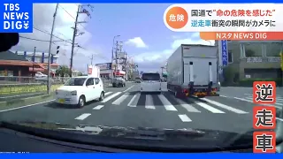 「命の危険を感じました」国道で逆走車が…カメラに映った衝突の瞬間｜TBS NEWS DIG