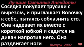 Соседка пригласила Вовочку к себе. Лучшие смешные анекдоты  Выпуск 2002