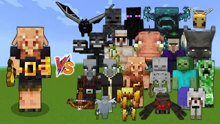 Piglin brute vs Every mob in Minecraft (Java  Edition) - Minecraft 1.19 Piglin brute vs All Mobs
