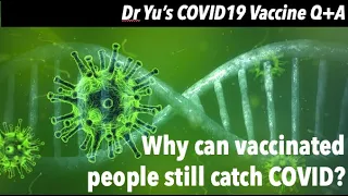 Why can vaccinated people still catch COVID?