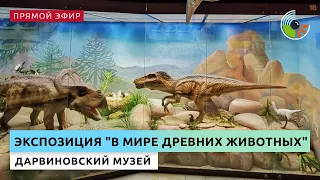 Экскурсия по экспозиции "В мире древних животных" | Дарвиновский музей