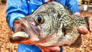 A Bobber & Live Minnow Setup That Crappie Can't Resist!