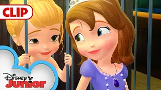 Mermaid Rescue | Sofia The First | @disneyjunior