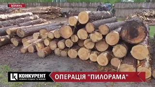 На Волині масштабна спецоперація: в оселях лісокрадів, які спалили автомобіль з дубом, знайшли зброю