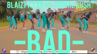 BAD - Blaiz Fayah ft Tribal kush(Official Dance Video)_Dance Federation Africa