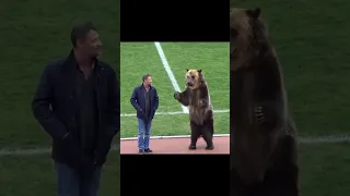 Animals in Football