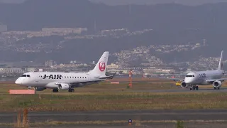 11.19 滑走路に鳥？ANA機 ゴーアラ後に渋滞 / 伊丹空港32L  OSAKA International Airport