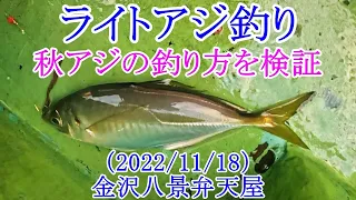 【東京湾でビシアジ釣り】秋の良型アジの釣り方を検証