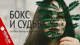 Бокс и судьба. Системно-векторная психология. Юрий Бурлан