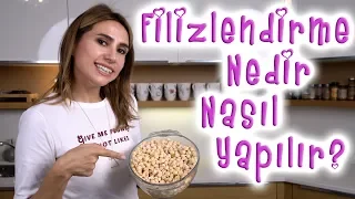 Bakliyat filizlendirme nedir, nasıl yapılır?