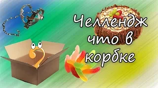 ЧЕЛЛЕНДЖ Что в коробке! What's in the box! Челлендж 2019 НАЩУПАЙ