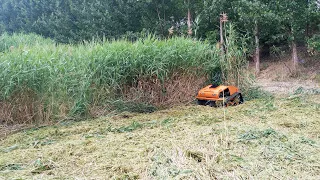 Black Shark 800 -- Remote Control Slope Mower Rubber Track RC Robot Grass Cutting Machine