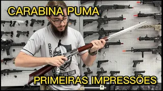 Carabina PUMA Cal. 357 - Primeiras Impressões