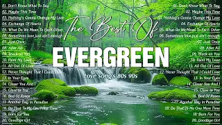 Best Beautiful Evergreen Cruisin Love Songs Of 70's 80's 90's 💕 Relax Oldies Music 🌿