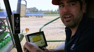 Allam Farms, growing crops in Alberta