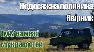 Недосяжна полонина Явірник. ЛуАЗ на межі можливостей