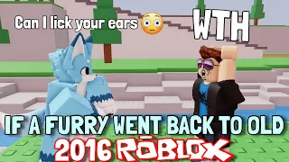 If A Furry Went Back to OLD ROBLOX